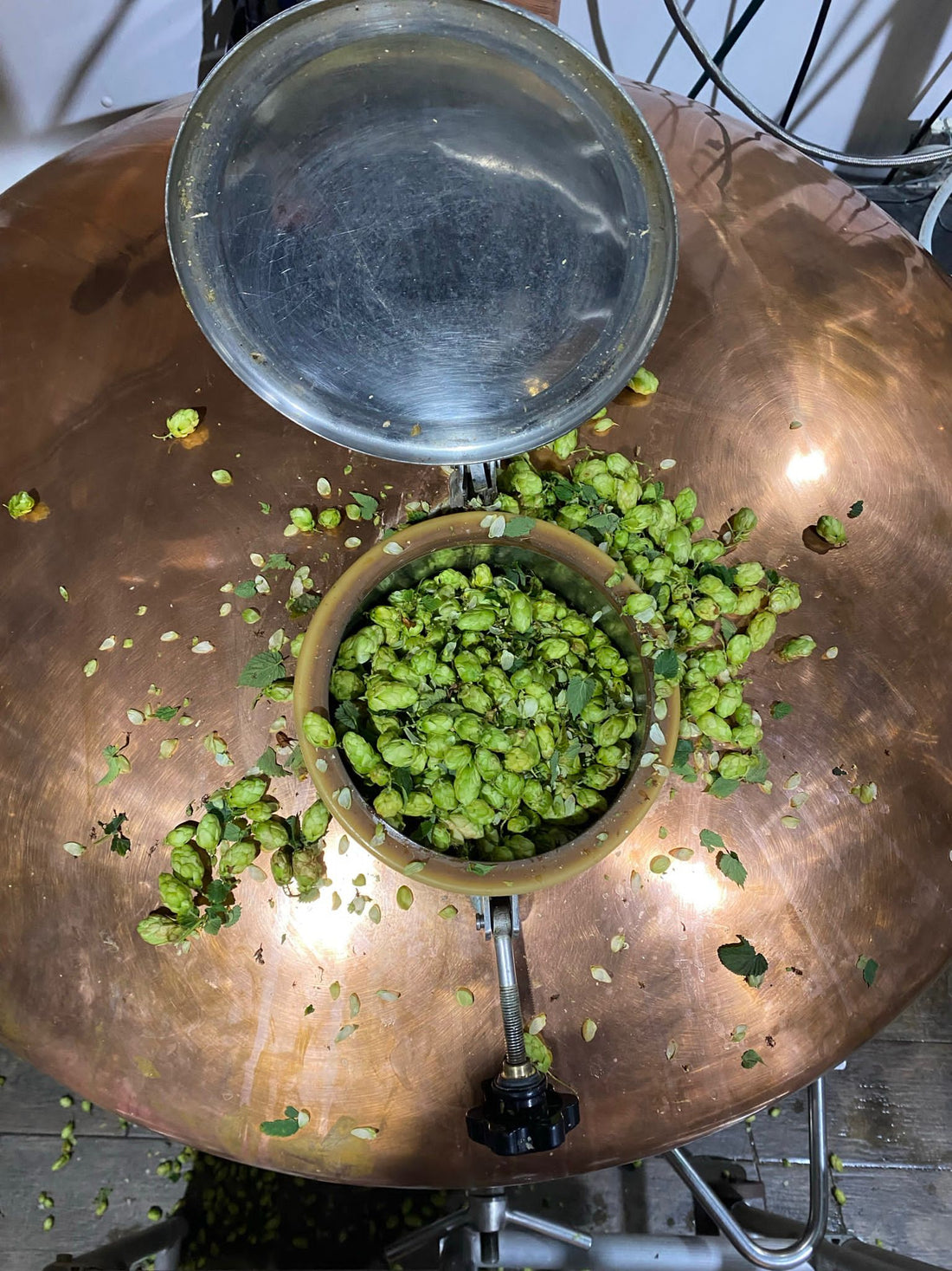 The Foundry Celebrating Kent Green Hop Season 2023