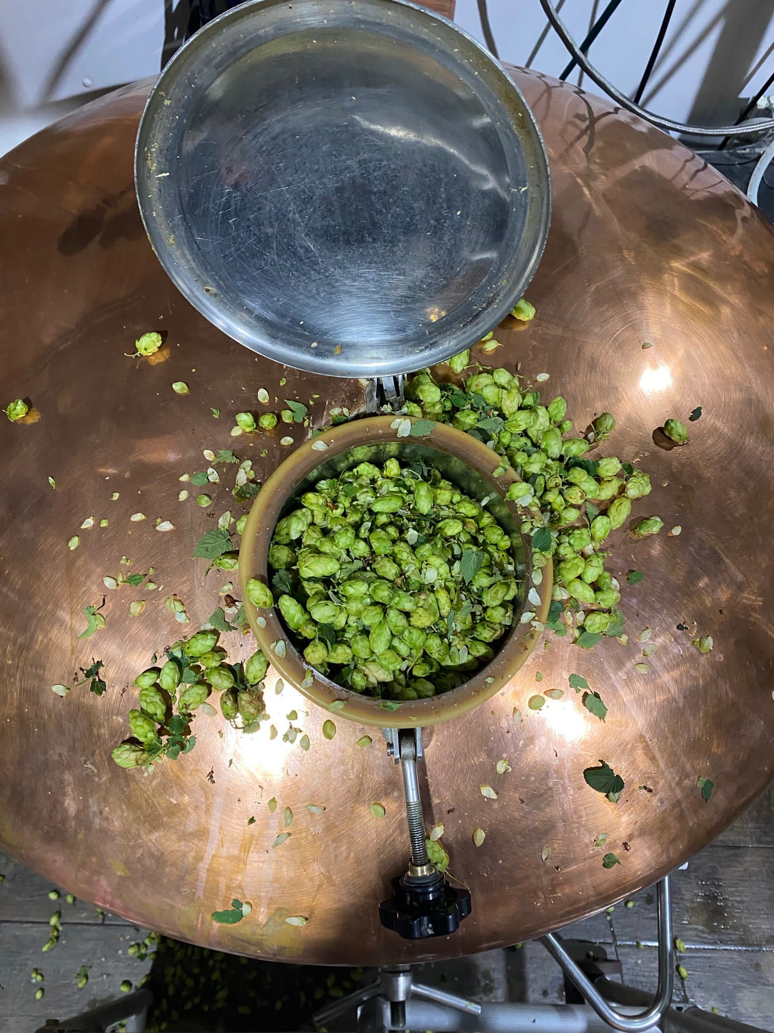 The Foundry Celebrating Kent Green Hop Season 2023