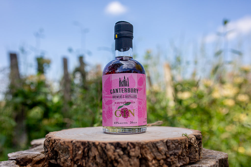 Seasonal Raspberry Gin